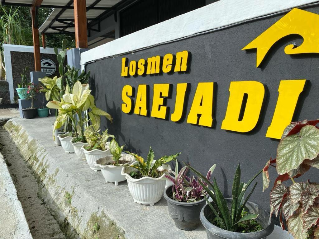 Krui Saejadi Surf And Stay Exterior photo